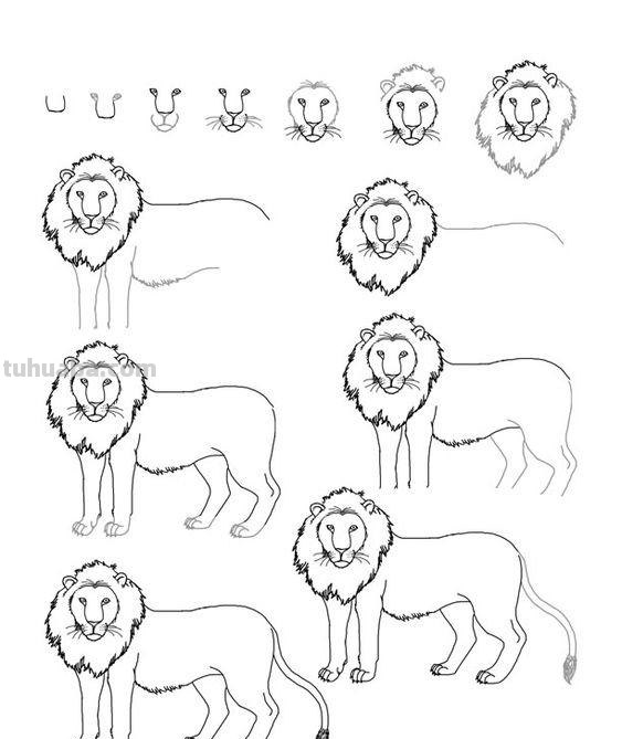 超详细的动物简笔画教程，一学就会