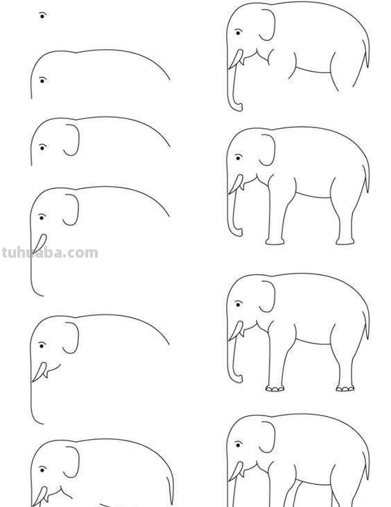 超详细的动物简笔画教程，一学就会
