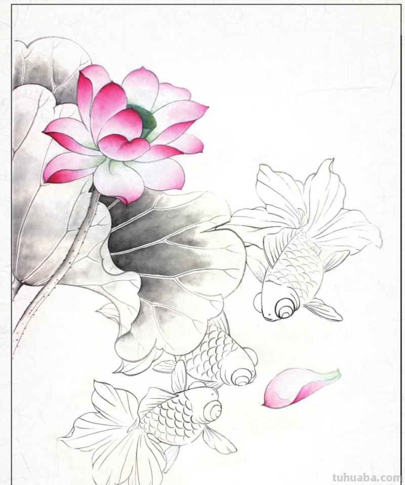 金鱼工笔画《年年有鱼》创作:分步骤讲解(附染色)画法,快临摹 金鱼工笔画《年年有鱼》创作:分步骤讲解(附染色)画法,快临摹