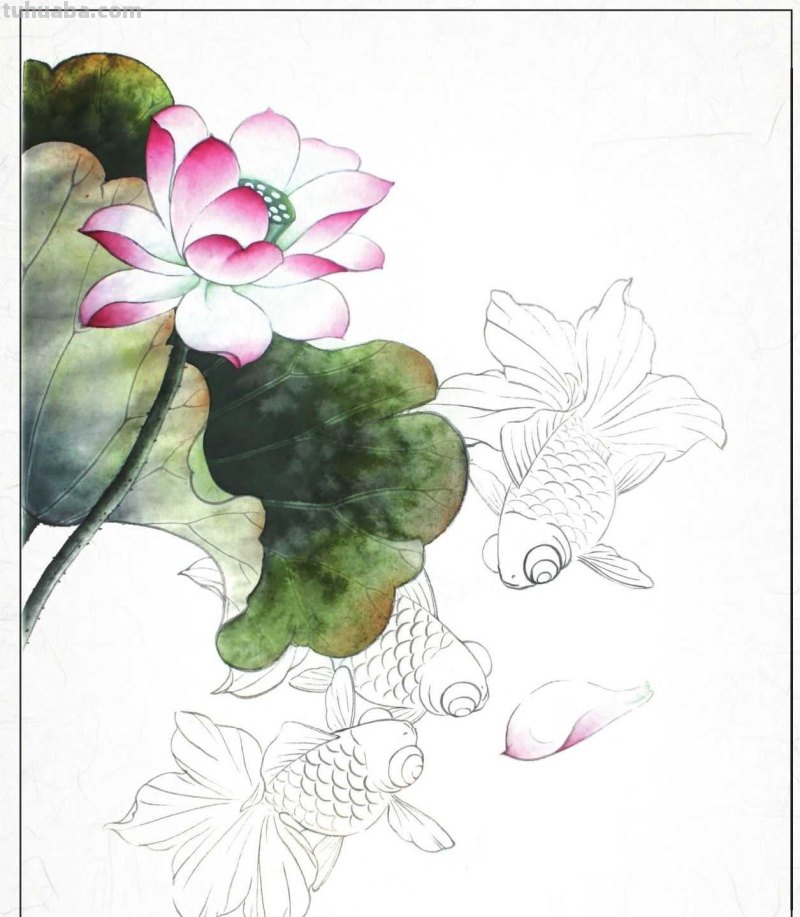 金鱼工笔画《年年有鱼》创作:分步骤讲解(附染色)画法,快临摹 金鱼工笔画《年年有鱼》创作:分步骤讲解(附染色)画法,快临摹