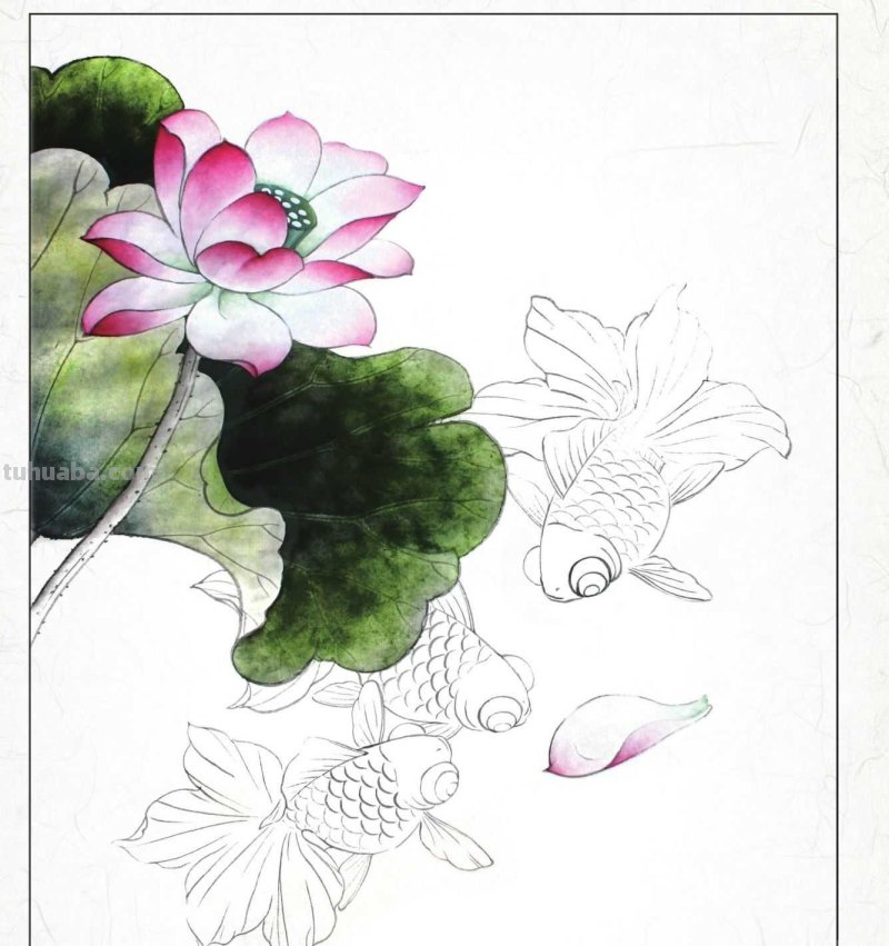 金鱼工笔画《年年有鱼》创作:分步骤讲解(附染色)画法,快临摹 金鱼工笔画《年年有鱼》创作:分步骤讲解(附染色)画法,快临摹