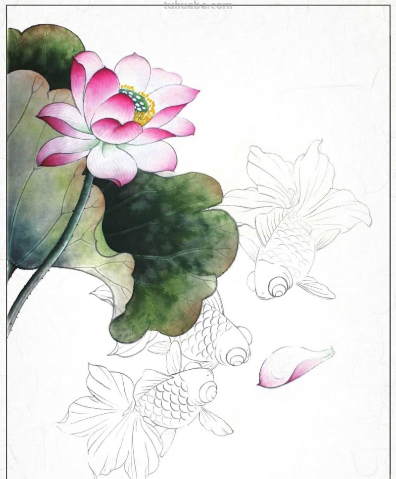 金鱼工笔画《年年有鱼》创作:分步骤讲解(附染色)画法,快临摹 金鱼工笔画《年年有鱼》创作:分步骤讲解(附染色)画法,快临摹