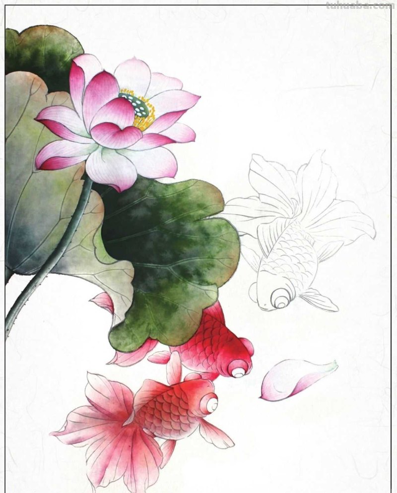 金鱼工笔画《年年有鱼》创作:分步骤讲解(附染色)画法,快临摹 金鱼工笔画《年年有鱼》创作:分步骤讲解(附染色)画法,快临摹