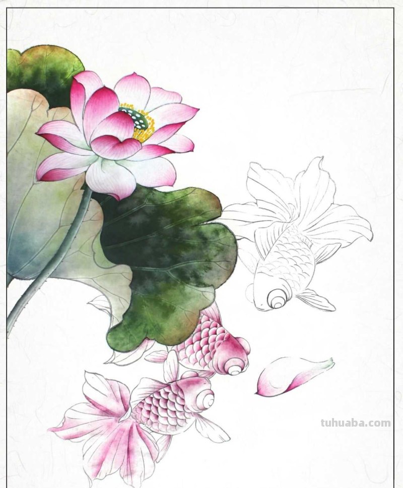 金鱼工笔画《年年有鱼》创作:分步骤讲解(附染色)画法,快临摹 金鱼工笔画《年年有鱼》创作:分步骤讲解(附染色)画法,快临摹
