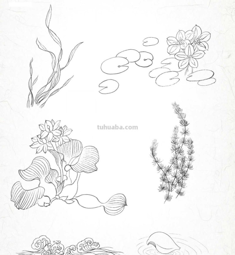 金鱼工笔画《年年有鱼》创作:分步骤讲解(附染色)画法,快临摹 金鱼工笔画《年年有鱼》创作:分步骤讲解(附染色)画法,快临摹