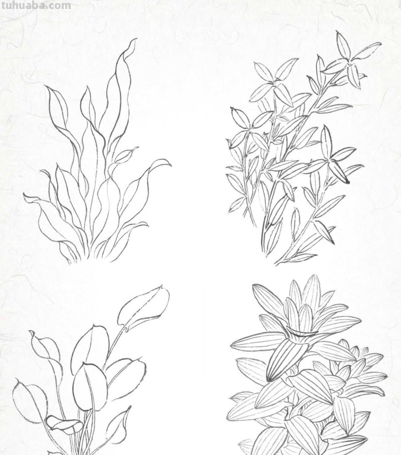 金鱼工笔画《年年有鱼》创作:分步骤讲解(附染色)画法,快临摹 金鱼工笔画《年年有鱼》创作:分步骤讲解(附染色)画法,快临摹