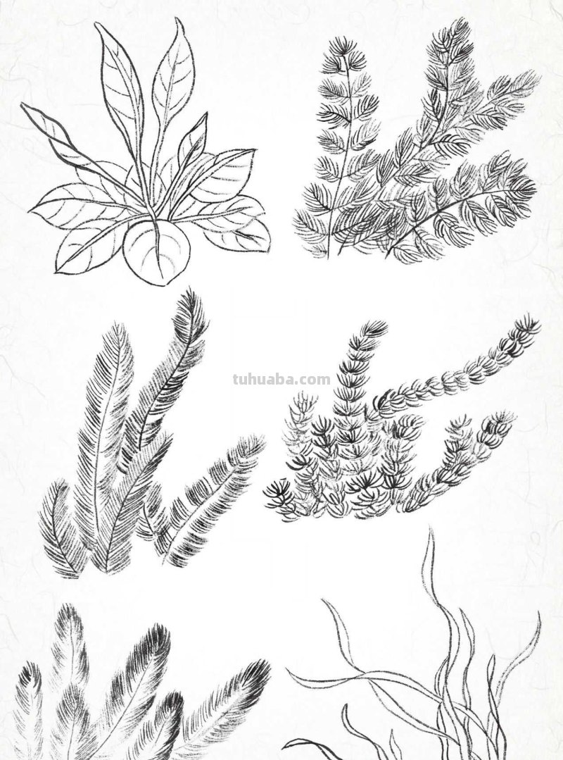 金鱼工笔画《年年有鱼》创作:分步骤讲解(附染色)画法,快临摹 金鱼工笔画《年年有鱼》创作:分步骤讲解(附染色)画法,快临摹