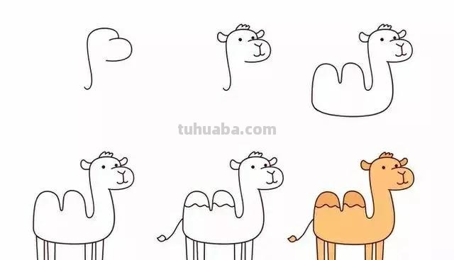 各种小动物的简笔画，不要说不会画哦