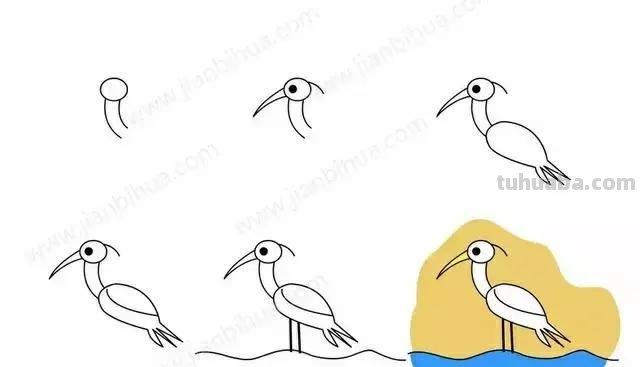 各种小动物的简笔画，不要说不会画哦