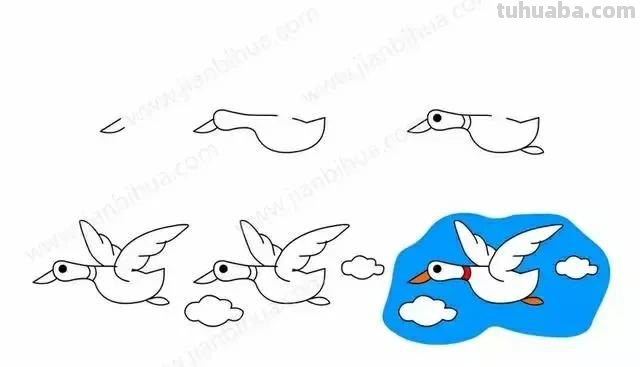 各种小动物的简笔画，不要说不会画哦