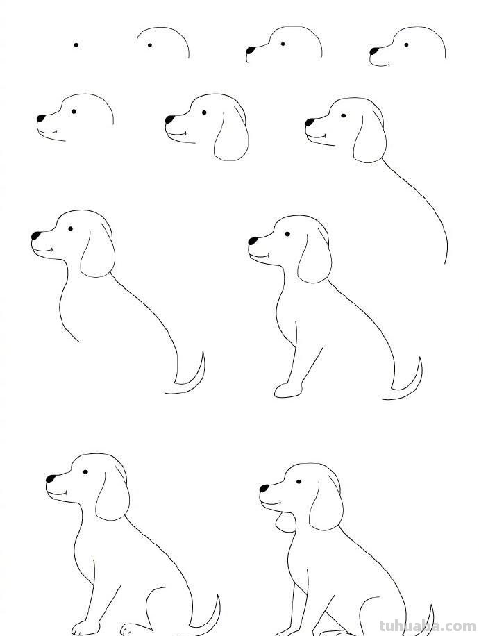 孩子想要画画，你不会教？9种动物简笔画线稿教你画，简单易学
