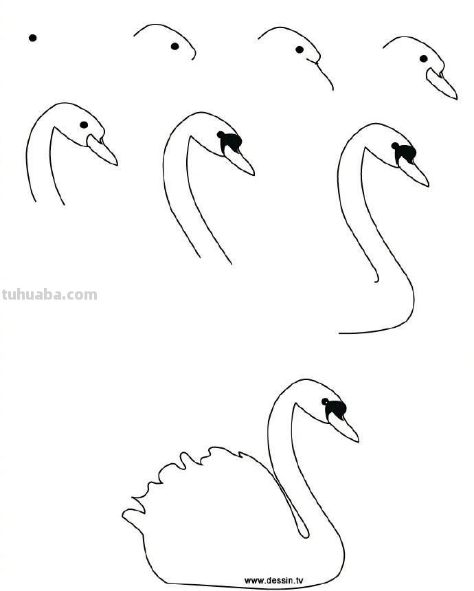 孩子想要画画，你不会教？9种动物简笔画线稿教你画，简单易学