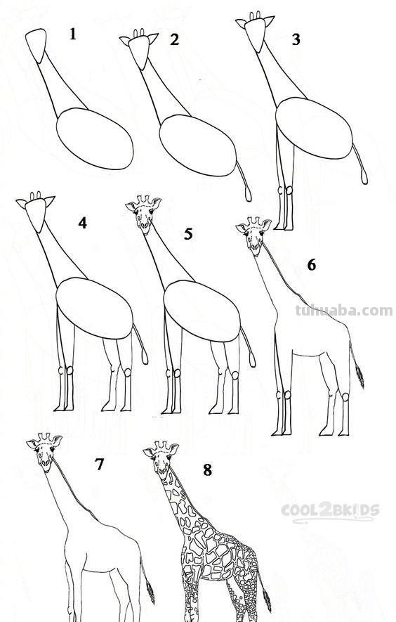 孩子想要画画，你不会教？9种动物简笔画线稿教你画，简单易学
