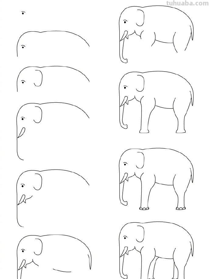 孩子想要画画，你不会教？9种动物简笔画线稿教你画，简单易学