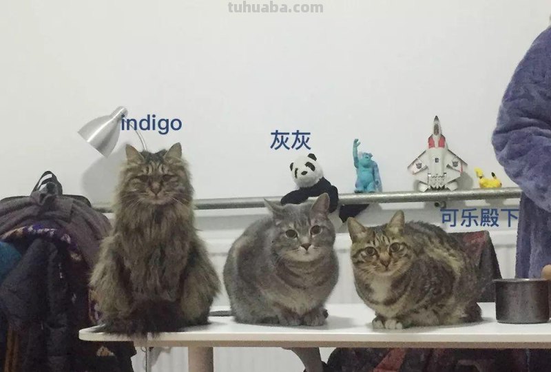 可乐殿下亲笔|属于「大人们的简笔画」 可乐殿下亲笔|属于「大人们的简笔画」