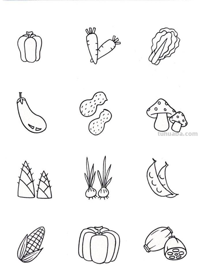 干货来袭~一组食物简笔画大全~
