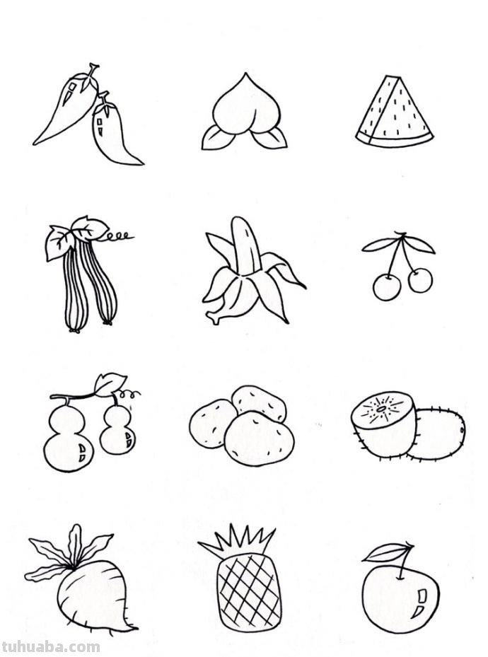 干货来袭~一组食物简笔画大全~