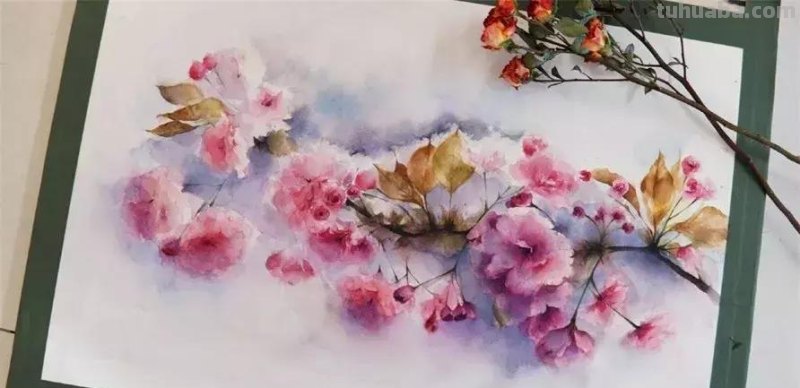 学习水彩必备干货 - 水彩的基本技法解析