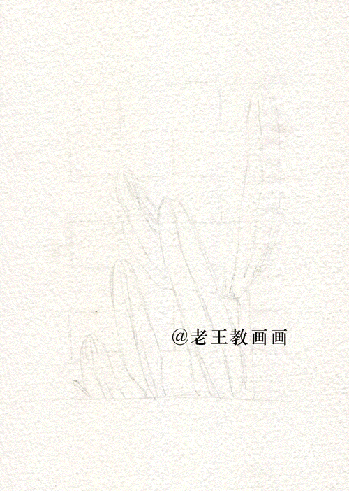 原来清新淡雅的水彩画，是这样完成的