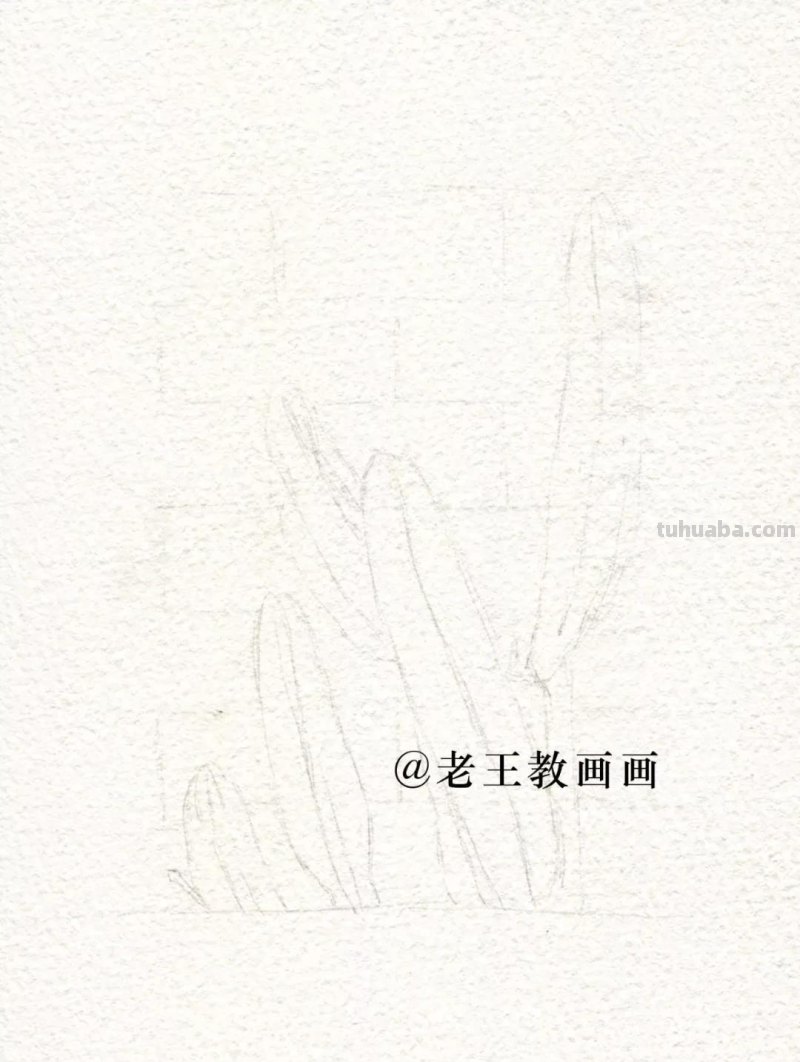 原来清新淡雅的水彩画，是这样完成的