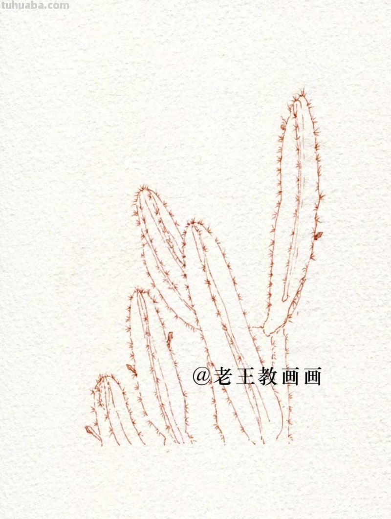 原来清新淡雅的水彩画，是这样完成的