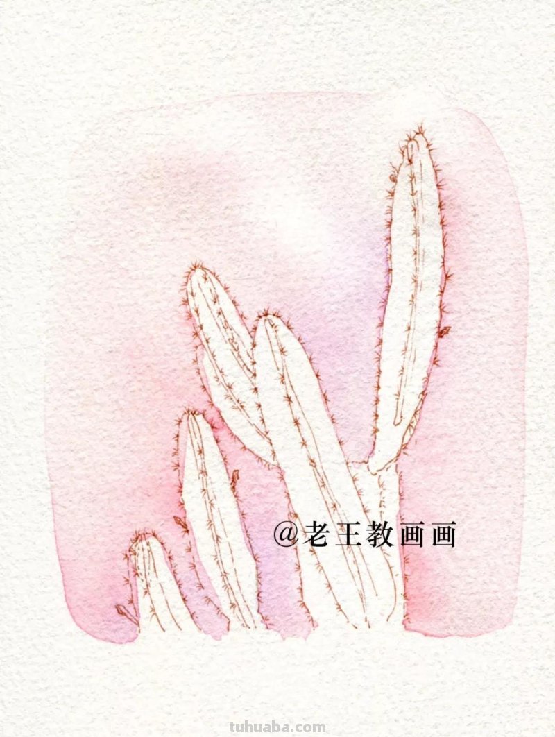 原来清新淡雅的水彩画，是这样完成的