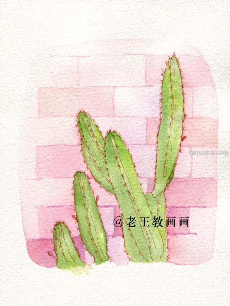 原来清新淡雅的水彩画，是这样完成的