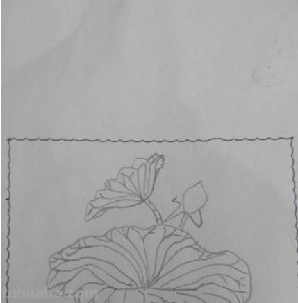 儿童简笔画荷花怎么画(儿童简笔画荷花怎么画好看) 儿童简笔画荷花怎么画(儿童简笔画荷花怎么画好看)