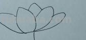 儿童简笔画荷花怎么画(儿童简笔画荷花怎么画好看) 儿童简笔画荷花怎么画(儿童简笔画荷花怎么画好看)