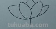 儿童简笔画荷花怎么画(儿童简笔画荷花怎么画好看) 儿童简笔画荷花怎么画(儿童简笔画荷花怎么画好看)