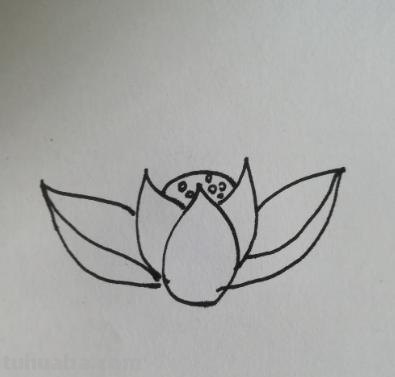 儿童简笔画荷花怎么画(儿童简笔画荷花怎么画好看) 儿童简笔画荷花怎么画(儿童简笔画荷花怎么画好看)
