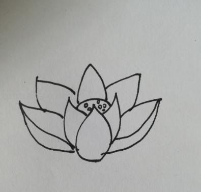 儿童简笔画荷花怎么画(儿童简笔画荷花怎么画好看) 儿童简笔画荷花怎么画(儿童简笔画荷花怎么画好看)