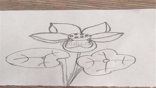 儿童简笔画荷花怎么画(儿童简笔画荷花怎么画好看) 儿童简笔画荷花怎么画(儿童简笔画荷花怎么画好看)