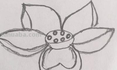 儿童简笔画荷花怎么画(儿童简笔画荷花怎么画好看) 儿童简笔画荷花怎么画(儿童简笔画荷花怎么画好看)