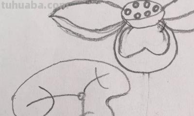 儿童简笔画荷花怎么画(儿童简笔画荷花怎么画好看) 儿童简笔画荷花怎么画(儿童简笔画荷花怎么画好看)