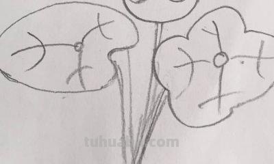 儿童简笔画荷花怎么画(儿童简笔画荷花怎么画好看) 儿童简笔画荷花怎么画(儿童简笔画荷花怎么画好看)