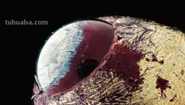 日系文具横向测评 篇一：选择恐惧症的终极解决方案！25款日系中性笔评测