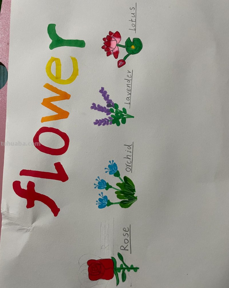 宝贝暑假成长之心理健康手抄报，画，读书卡，书签+英语小报