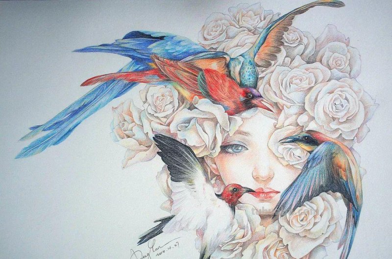 精细到极致的彩铅插画，每一幅都自带仙气，谁不喜欢呀！