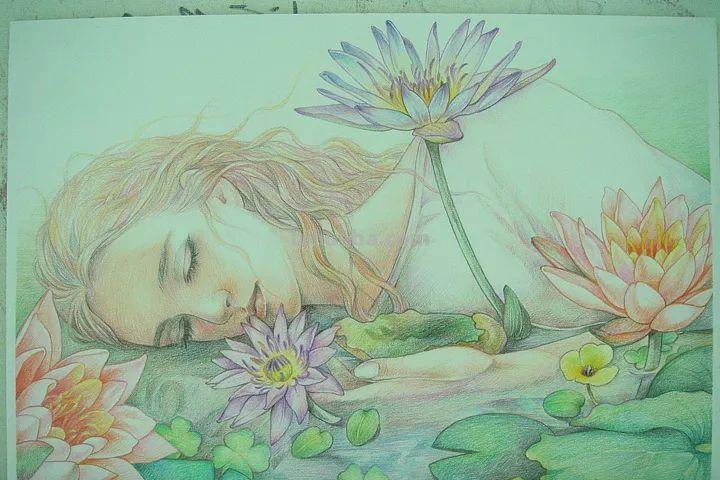 精细到极致的彩铅插画，每一幅都自带仙气，谁不喜欢呀！