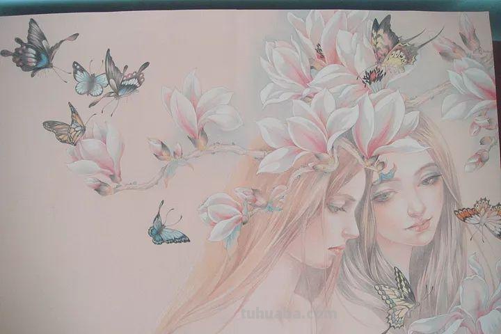 精细到极致的彩铅插画，每一幅都自带仙气，谁不喜欢呀！