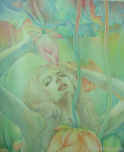 精细到极致的彩铅插画，每一幅都自带仙气，谁不喜欢呀！
