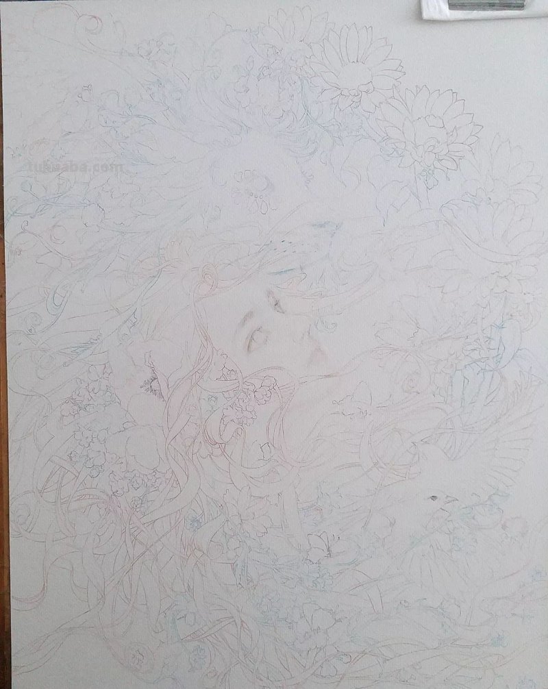精细到极致的彩铅插画，每一幅都自带仙气，谁不喜欢呀！