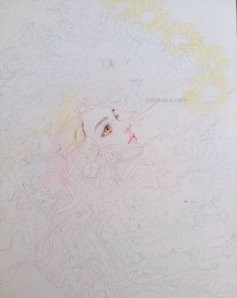精细到极致的彩铅插画，每一幅都自带仙气，谁不喜欢呀！