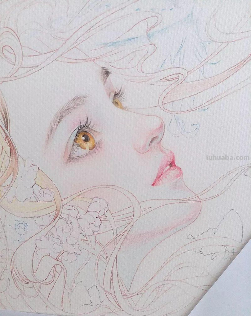 精细到极致的彩铅插画，每一幅都自带仙气，谁不喜欢呀！