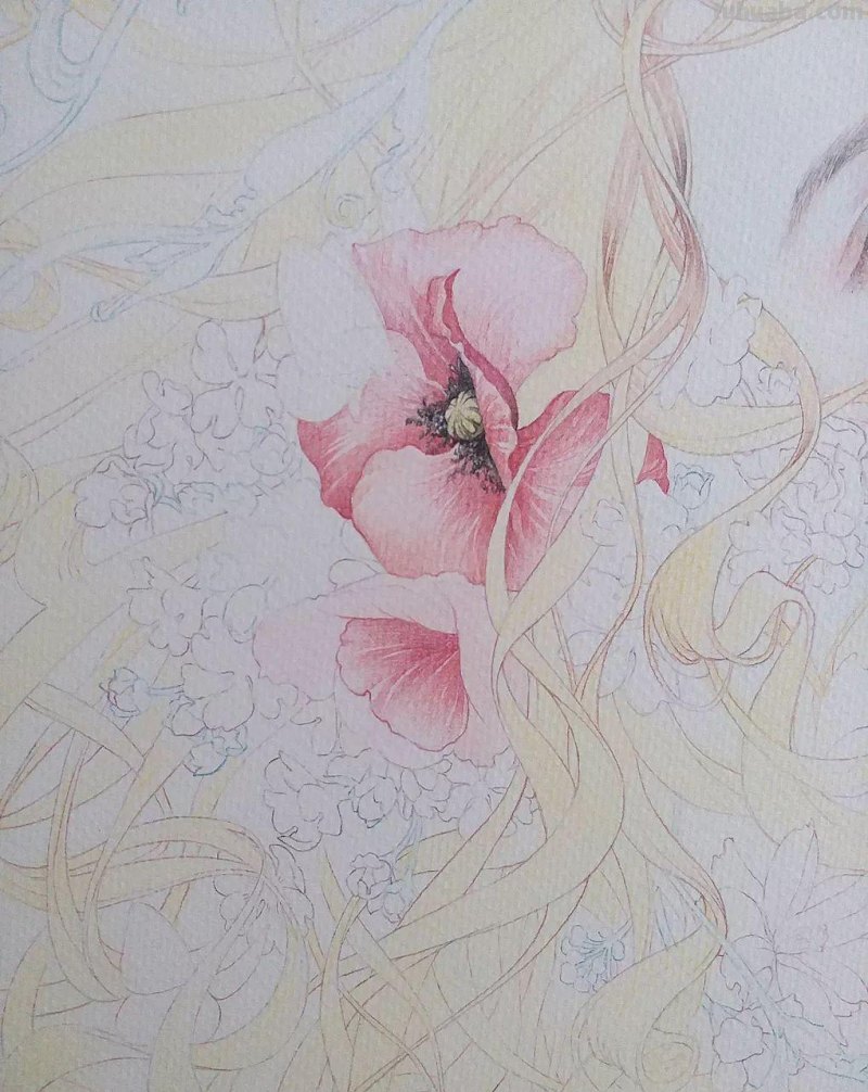 精细到极致的彩铅插画，每一幅都自带仙气，谁不喜欢呀！