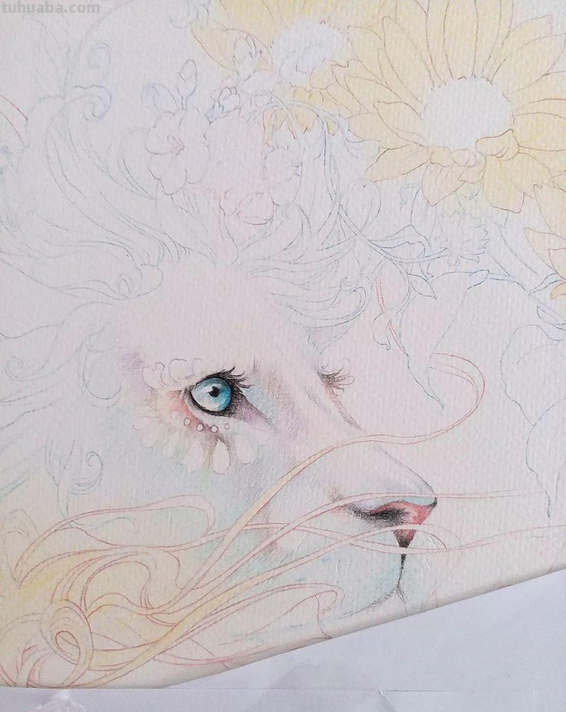 精细到极致的彩铅插画，每一幅都自带仙气，谁不喜欢呀！