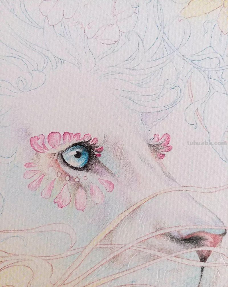精细到极致的彩铅插画，每一幅都自带仙气，谁不喜欢呀！