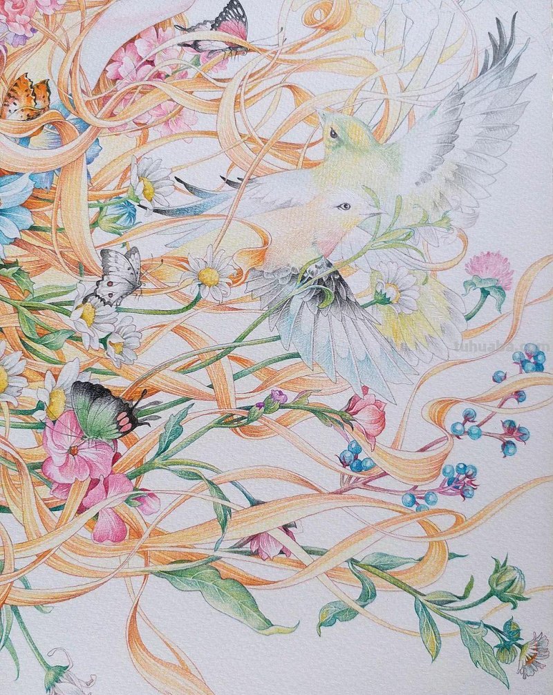 精细到极致的彩铅插画，每一幅都自带仙气，谁不喜欢呀！