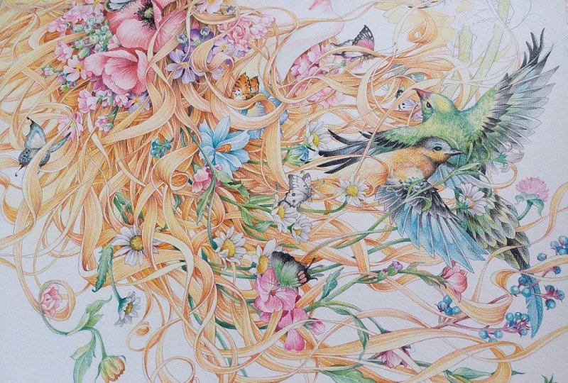 精细到极致的彩铅插画，每一幅都自带仙气，谁不喜欢呀！